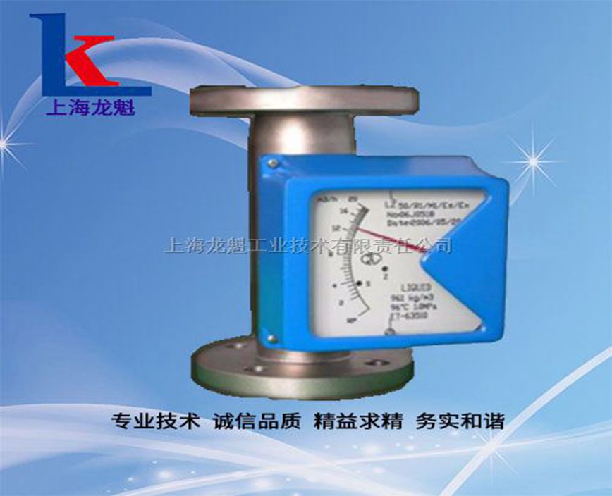 硫化氟金屬管浮子流量計(jì)